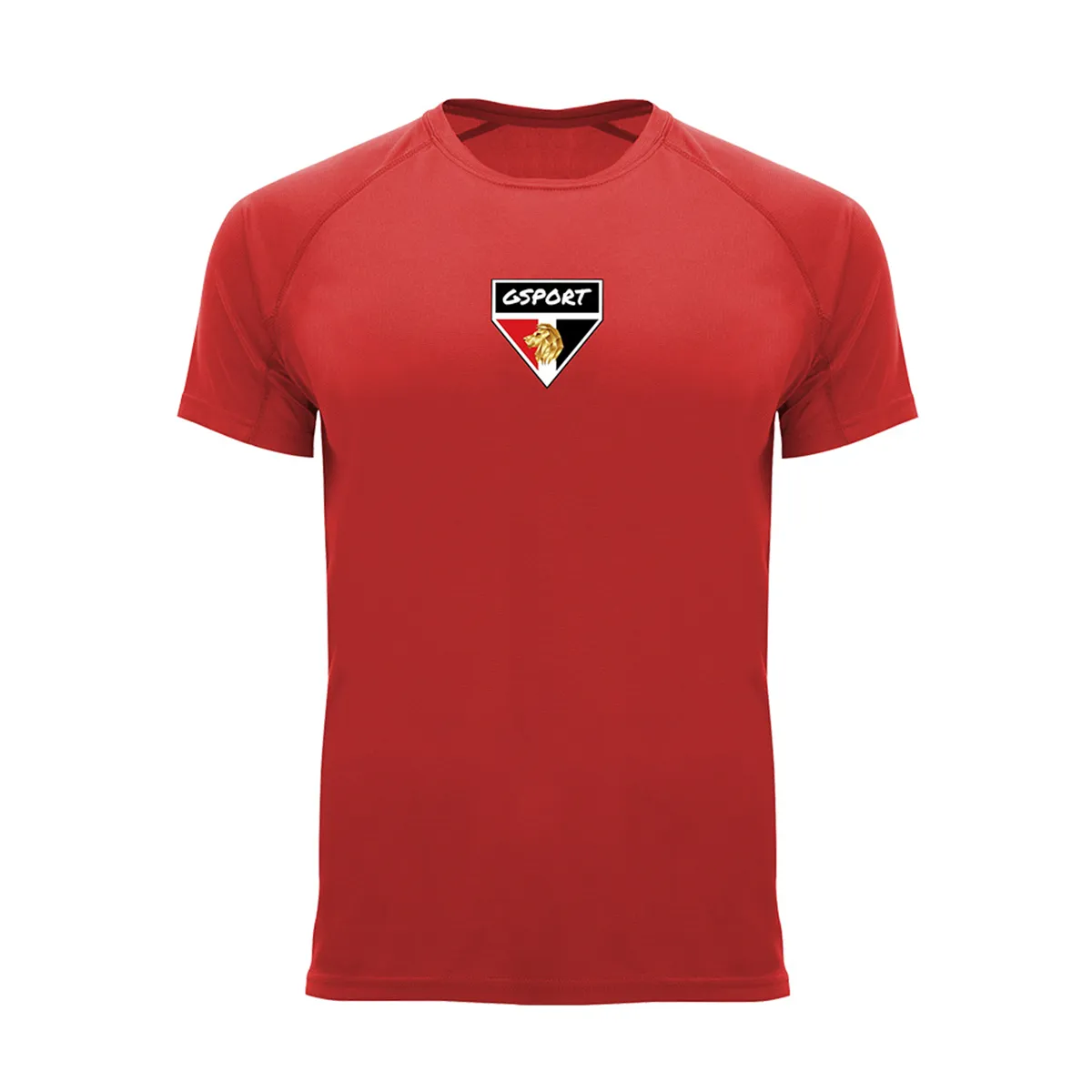 Camiseta Entrenamiento